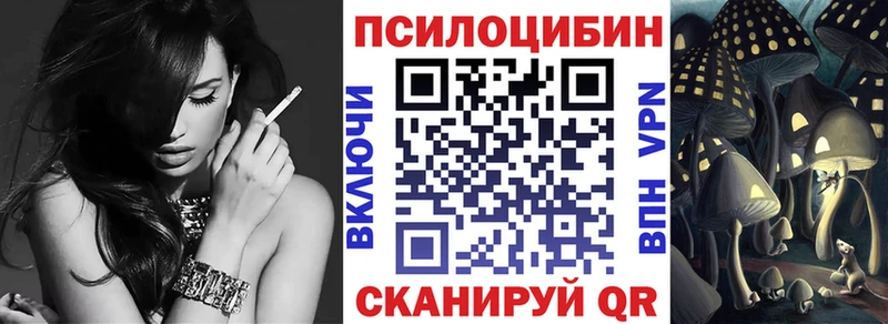 магазин    Светогорск  Галлюциногенные грибы Cubensis 